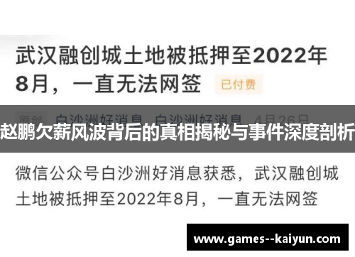 赵鹏欠薪风波背后的真相揭秘与事件深度剖析 赵鹏欠薪风波背后的真相揭秘与事件深度剖析